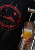 Tour del birrificio BVS con degustazione